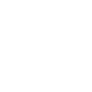 Logistics manager tracking shipments on a digital dashboard